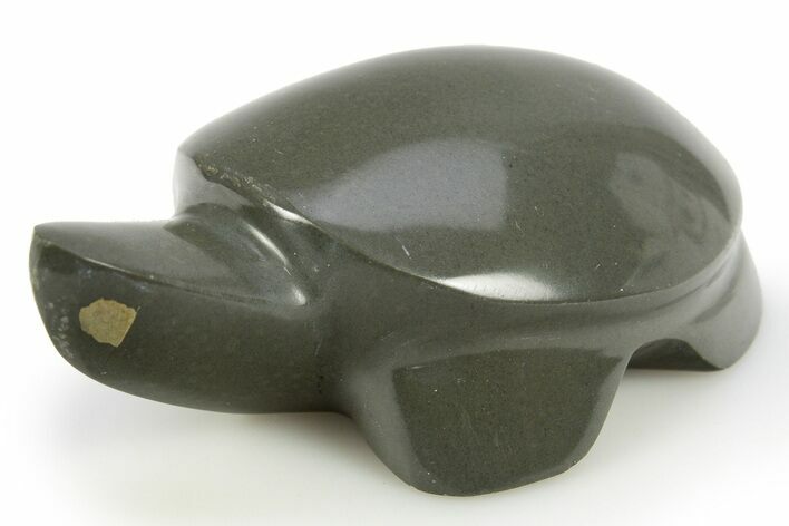 Polished Siltstone with Pyrite Turtle - Alaska #311893